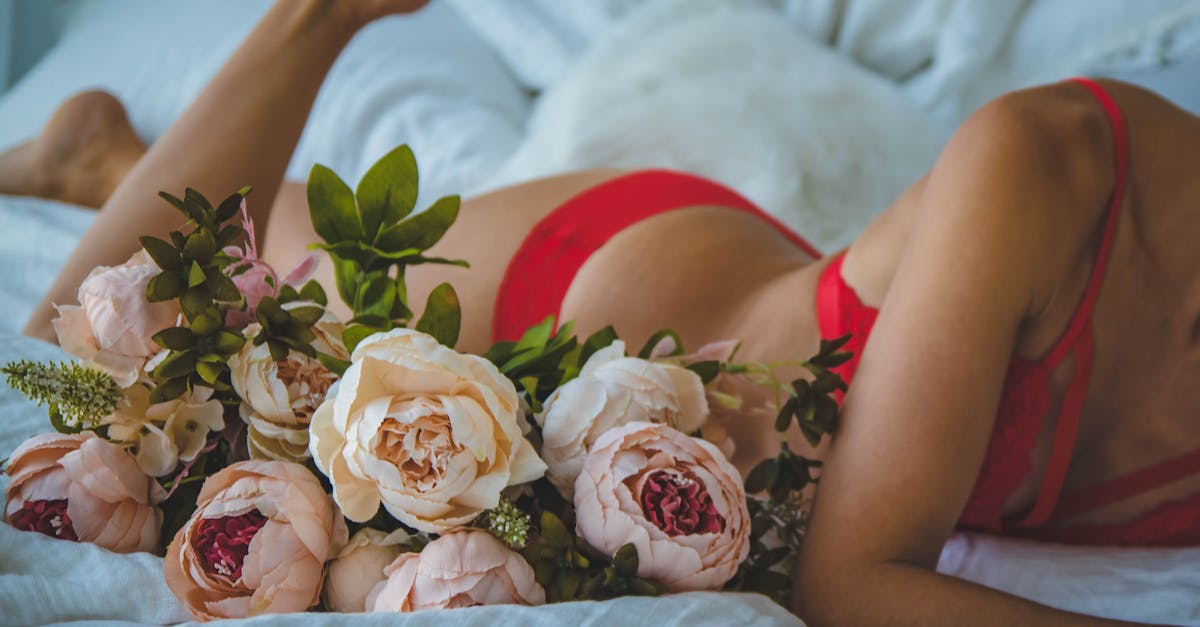 découvrez notre collection exquise de lingerie alliant élégance et confort. trouvez le modèle parfait qui mettra en valeur votre féminité et ravira vos sens. explorez nos ensembles, bodys et nuisettes pour une touche de glamour dans votre quotidien.