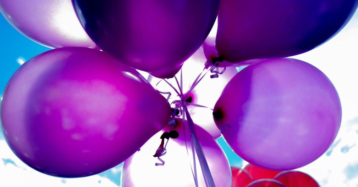découvrez les dernières nouveautés qui font sensation ! explorez nos collections innovantes et soyez à la pointe des tendances avec nos produits frais et inspirants.