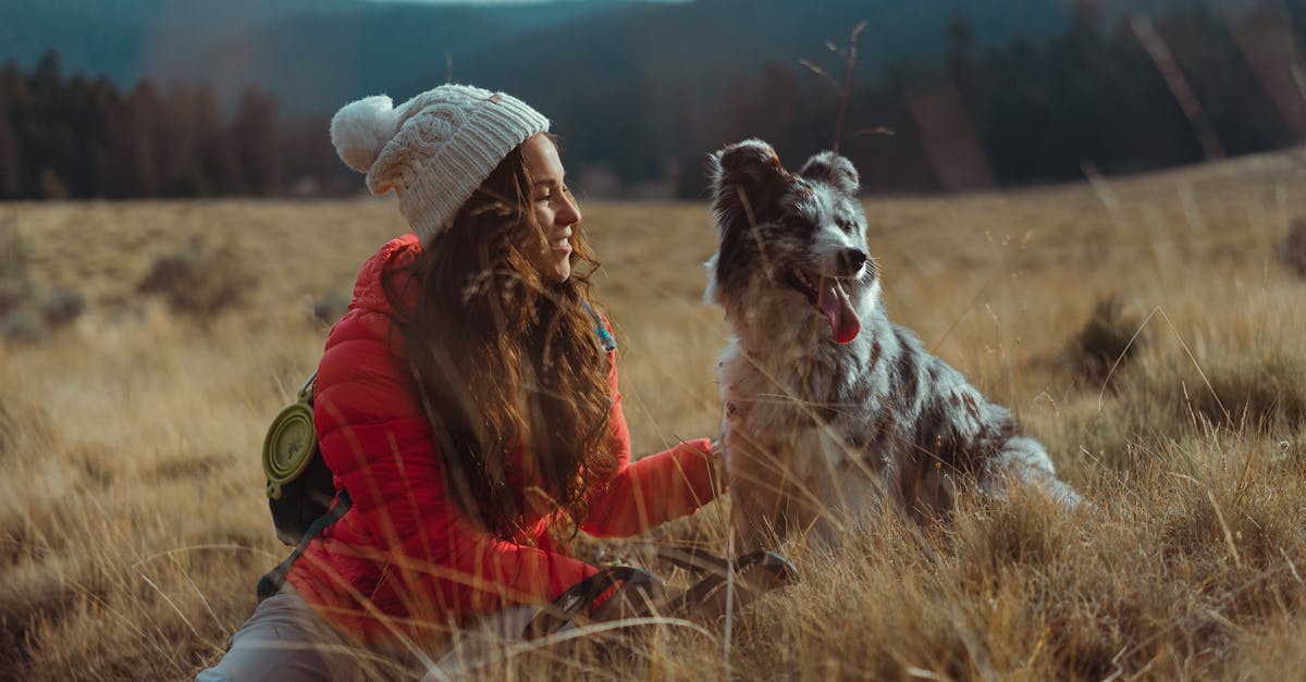 découvrez notre collection de beanies tendance, parfaits pour compléter votre look tout en vous gardant au chaud. avec une variété de styles et de couleurs, trouvez le bonnet idéal pour chaque occasion.
