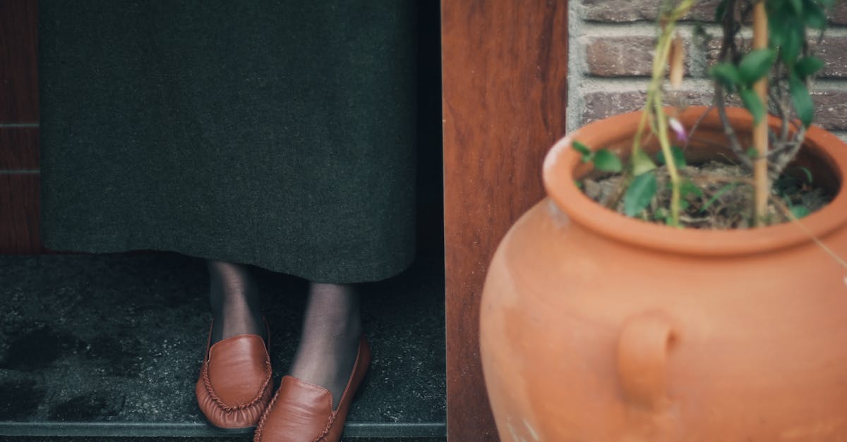 découvrez notre collection de robes en terracotta, alliant élégance et confort. parfaites pour toutes les occasions, nos robes mettent en valeur la chaleur et la richesse des tons terre cuite, offrant un style raffiné et unique. explorez nos dernières tendances et laissez-vous séduire par ces pièces intemporelles.