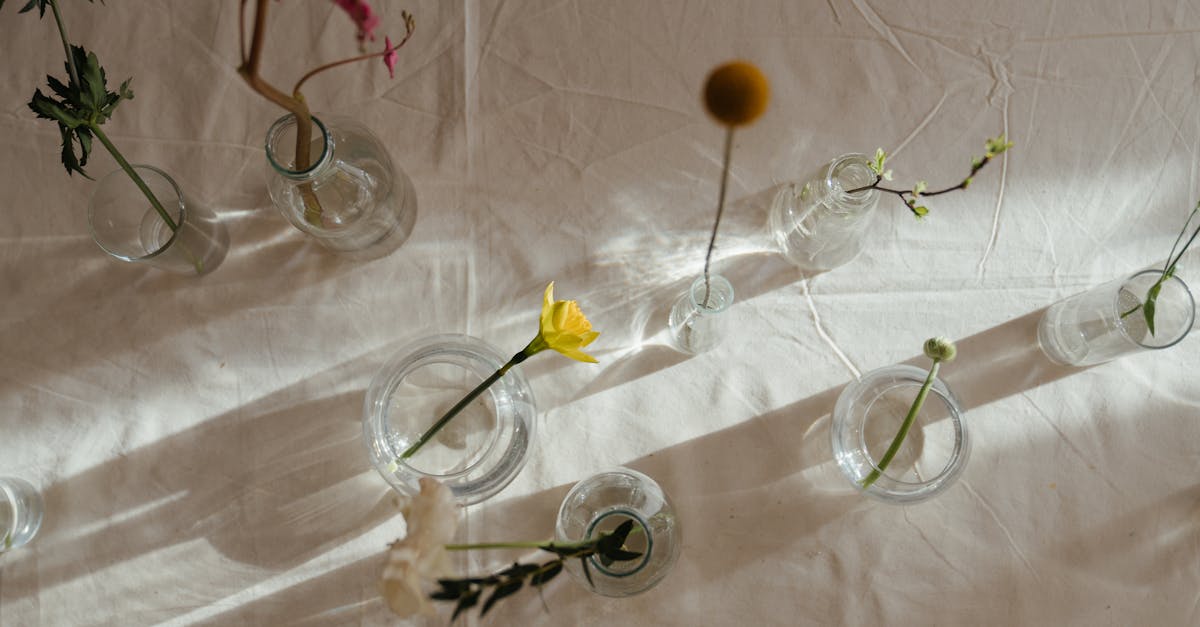 découvrez notre collection de vases uniques, alliant art et fonctionnalité. parfaits pour embellir votre intérieur, nos vases apportent une touche de style et de sophistication à chaque espace. explorez différentes formes, couleurs et matériaux pour trouver le vase idéal qui mettra en valeur vos fleurs et votre décoration.