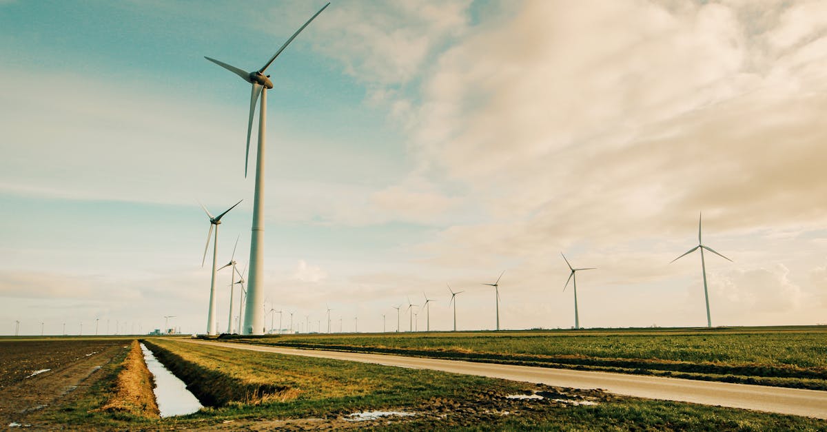 découvrez les principes et les pratiques de la sustainability, un engagement vers un développement durable, respectueux de l’environnement, de la société et de l’économie, pour bâtir un avenir plus responsable.