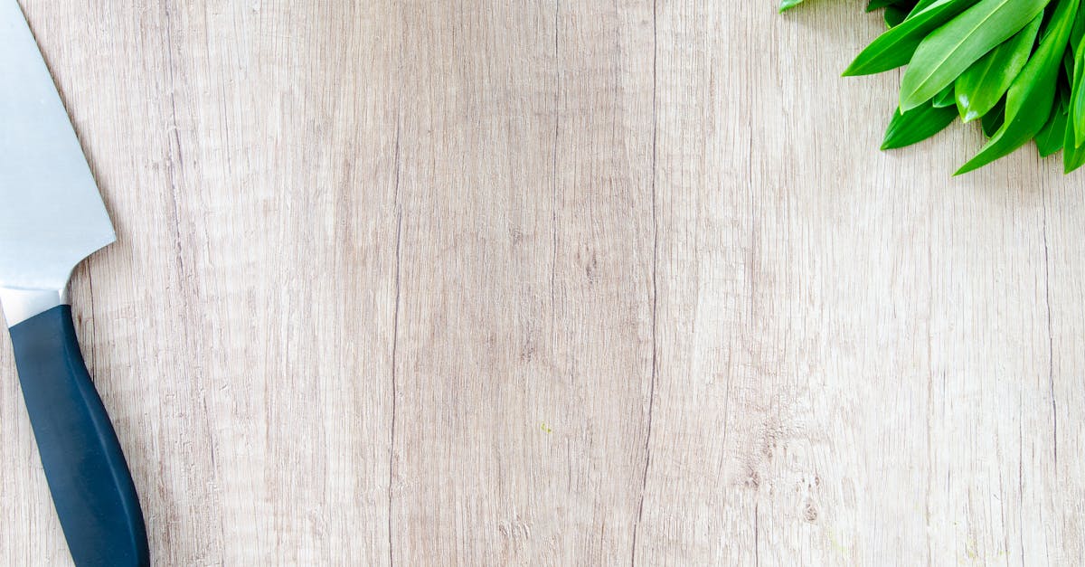 découvrez des idées de recettes, des astuces culinaires et des conseils pour réussir vos plats en cuisine, que vous soyez débutant ou passionné de gastronomie.